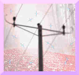 Sweet post weirdcore